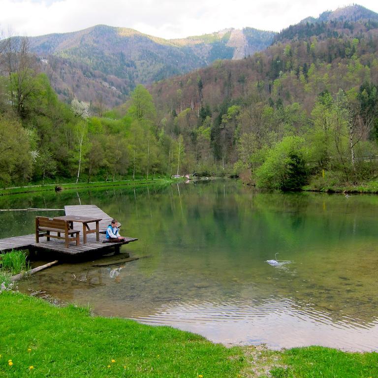 Romantische Ferienhuette Nationalpark Kalkalpen, Sonnig, 2 Schlafzimmer, Wlan Kleinreifling エクステリア 写真